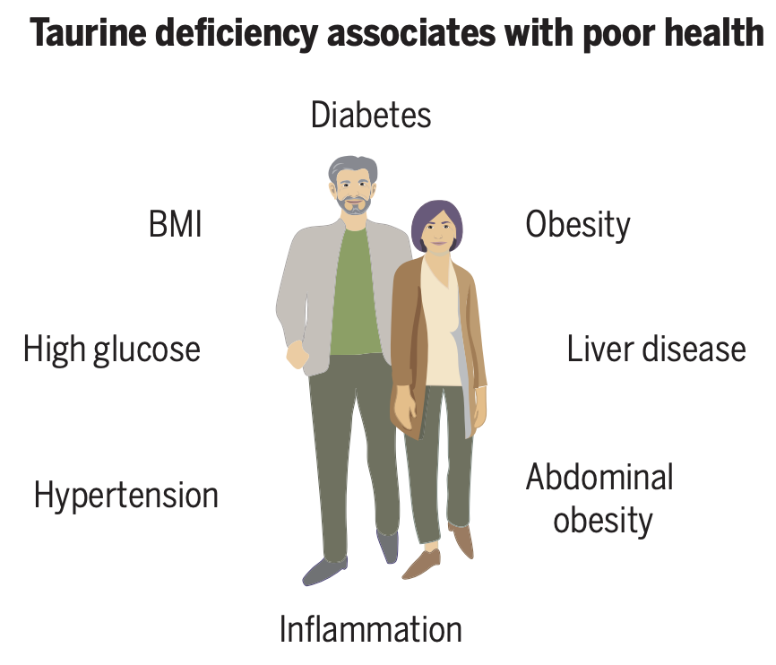 Taurine sales deficiency test